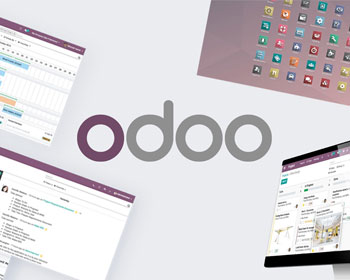 Odoo ERP & CRM